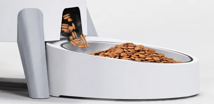 Kibble dropping from the feeder into a stainless steel bowl