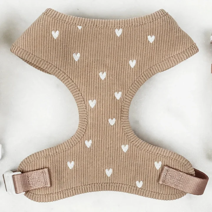 Corduroy Dog Harness & Leash Set
