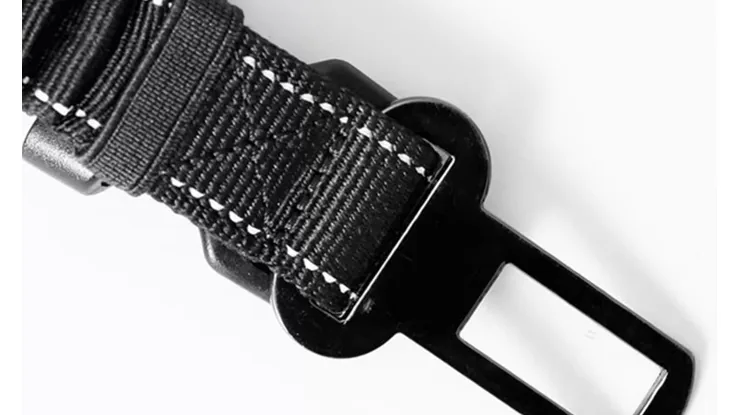 Close-up of the car safety buckle of the hands-free crossbody dog leash