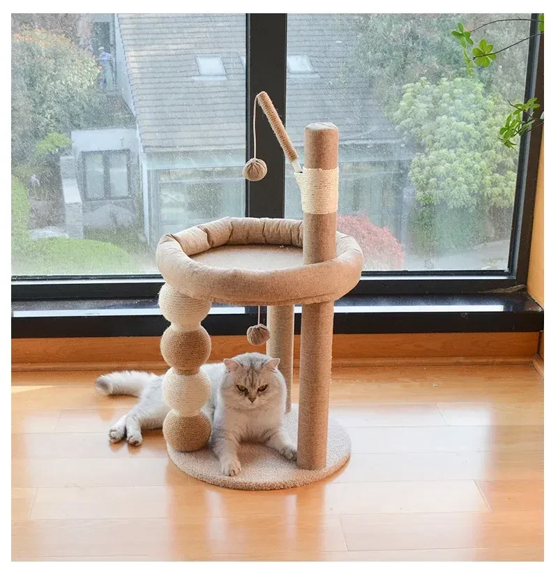 Cat resting under the scratching perch by a window