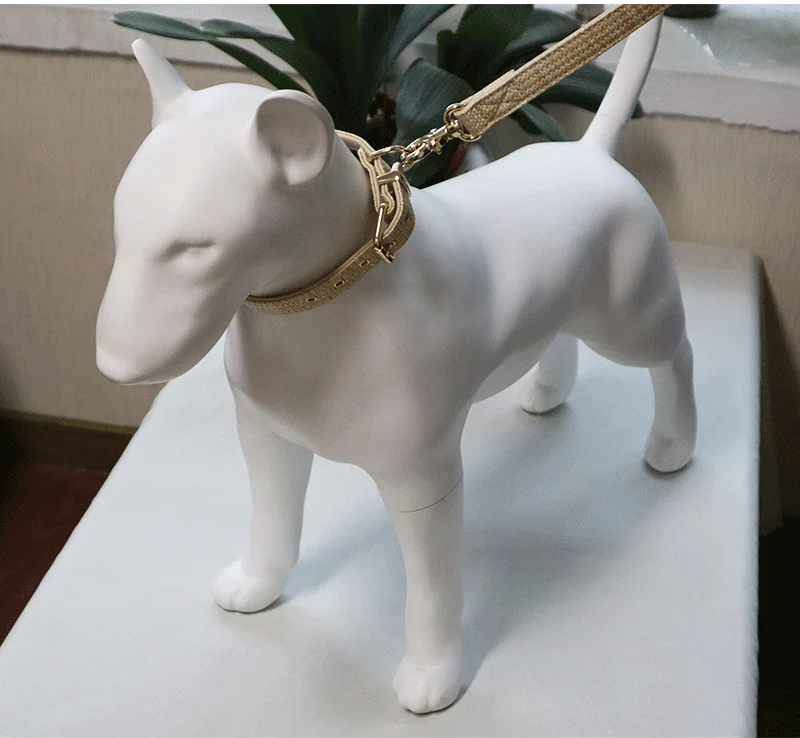 Beige PU leather collar and leash set on a dog mannequin