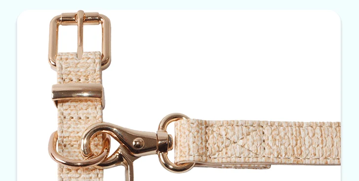 Metal pin buckle and swivel clasp on the beige PU leather collar set