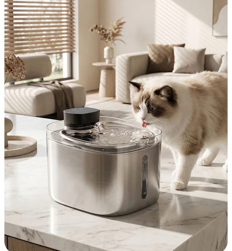 Cat drinking from a stainless steel water fountain in a living room